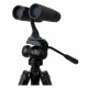 CELESTRON REGAL 10X42 ED