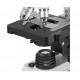 BRESSER Researcher Bino microscope with camera and permanent specimens